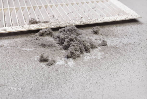 Best General Air Duct Cleaning  in Tyler, TX